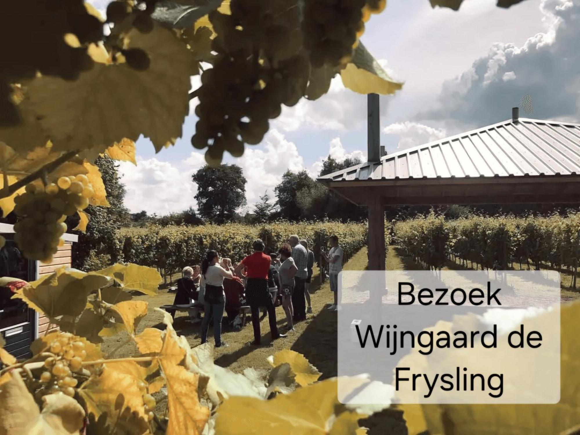 Camping Familychalet De Schaapskooi, 6-persons, Big Private Garden, Dogs Aloud Westergeest