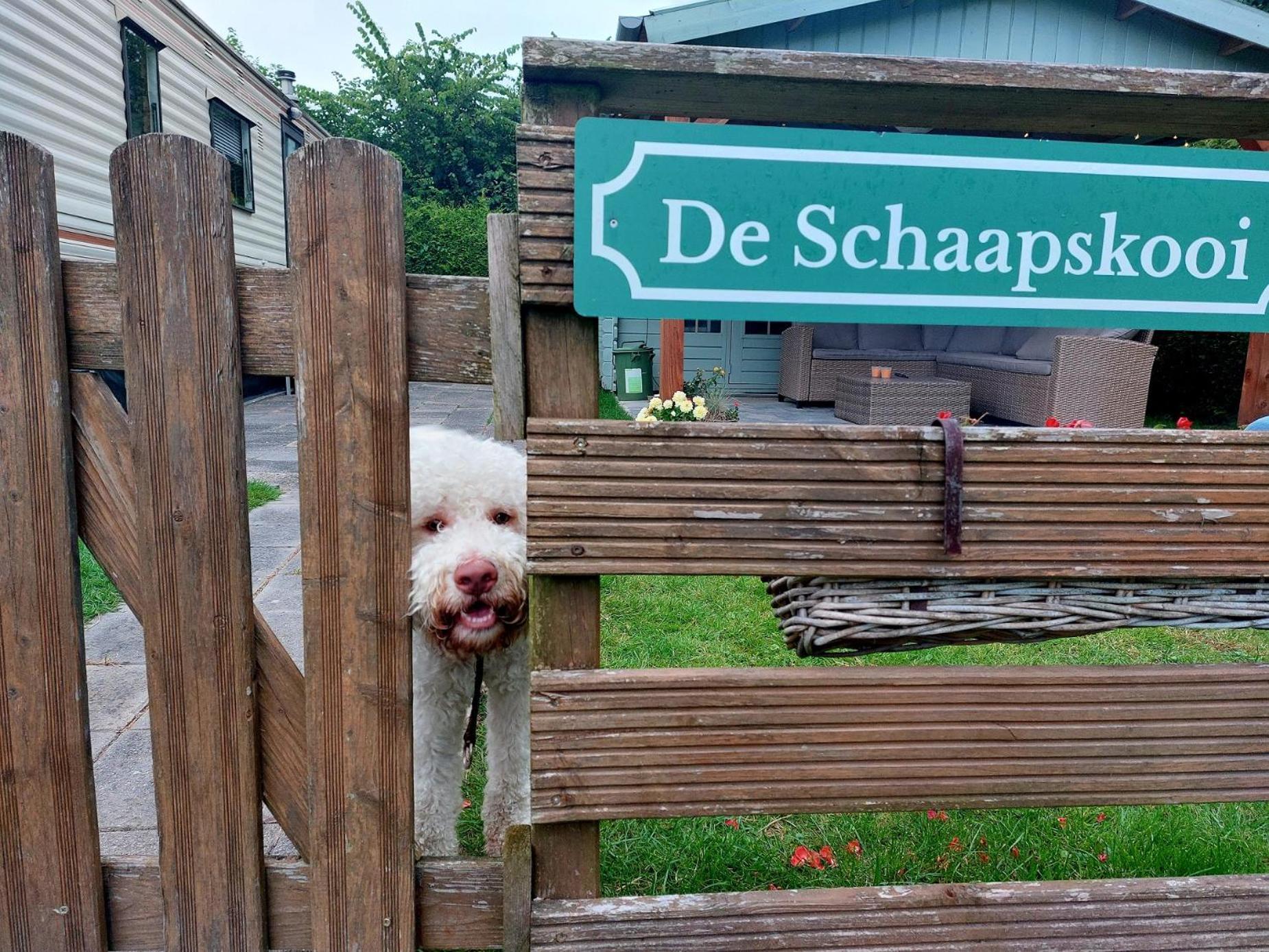 Familychalet De Schaapskooi, 6-persons, Big Private Garden, Dogs Aloud *